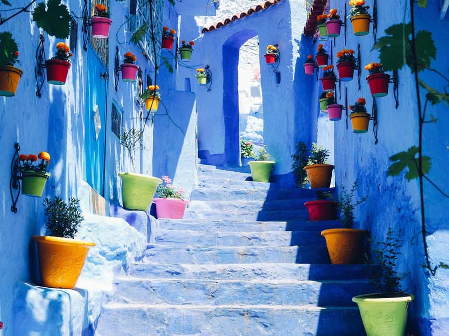 From Fez: Day Tour to the Blue Town of Chefchaouen - Why this Fez day trip makes sense