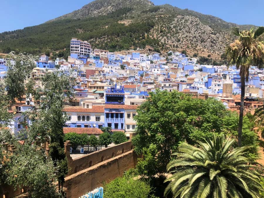 From Fez: Day Tour to the Blue Town of Chefchaouen - Returning to Fez after sunset