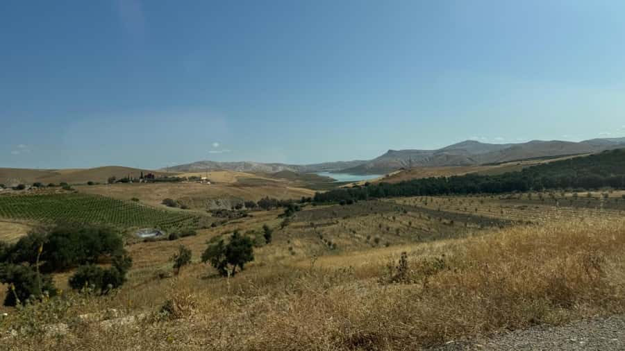 From Fez: Meknes, Volubilis and Moulay Idriss Day Trip - Who should book this day trip