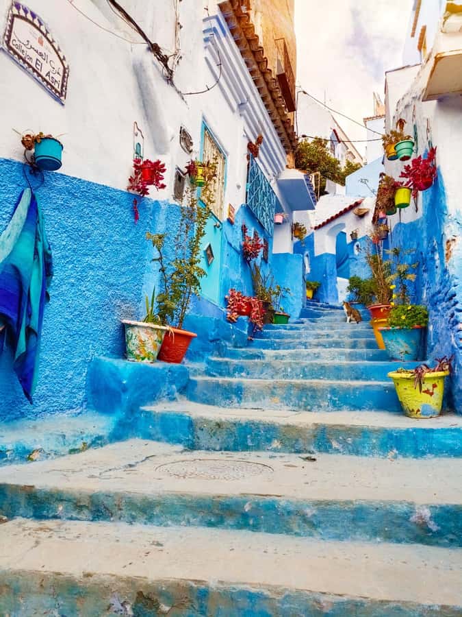 From Fez : Memorable Day Trip to Chefchaouen the Blue City - Key Points Before You Book