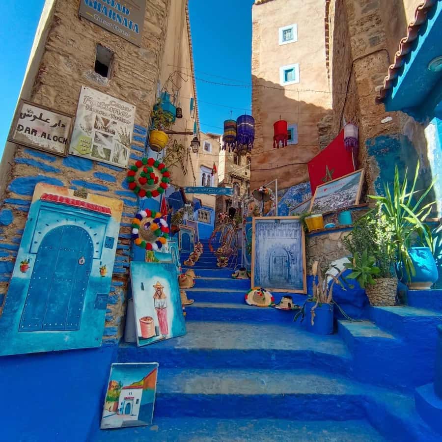 From Fez : Memorable Day Trip to Chefchaouen the Blue City - The Return to Fez