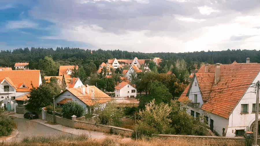 From Fez: Middle Atlas and Monkey Forest Day Trip - Ifrane, stone lions, and French-style streets