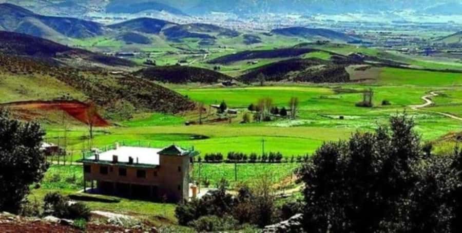 From Fez: Middle Atlas Ifran and Forest of Monkeys Day Trip - Key points to know before you book