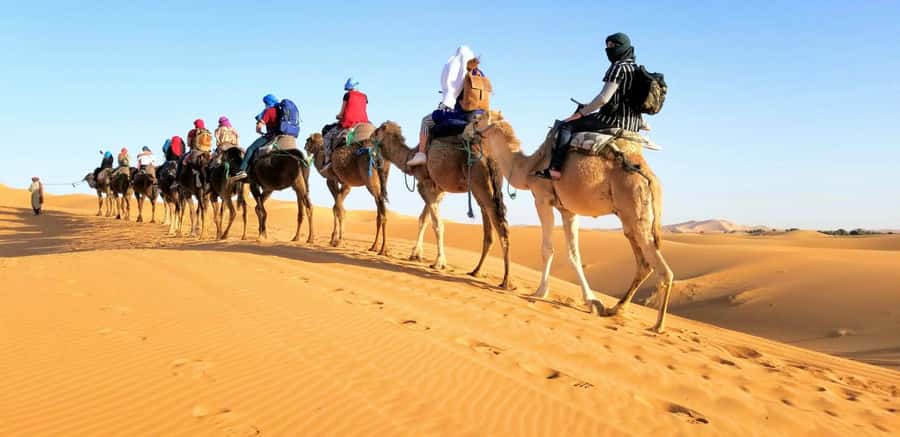 From Fez: Round-Trip Overnight Merzouga Desert Tour - Why this Fez to Merzouga trip works