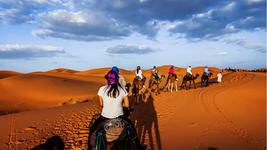 From Fez: Sahara Desert 2-Day Tour with Merzouga Camp Stay - Cedar forests and Barbary monkeys