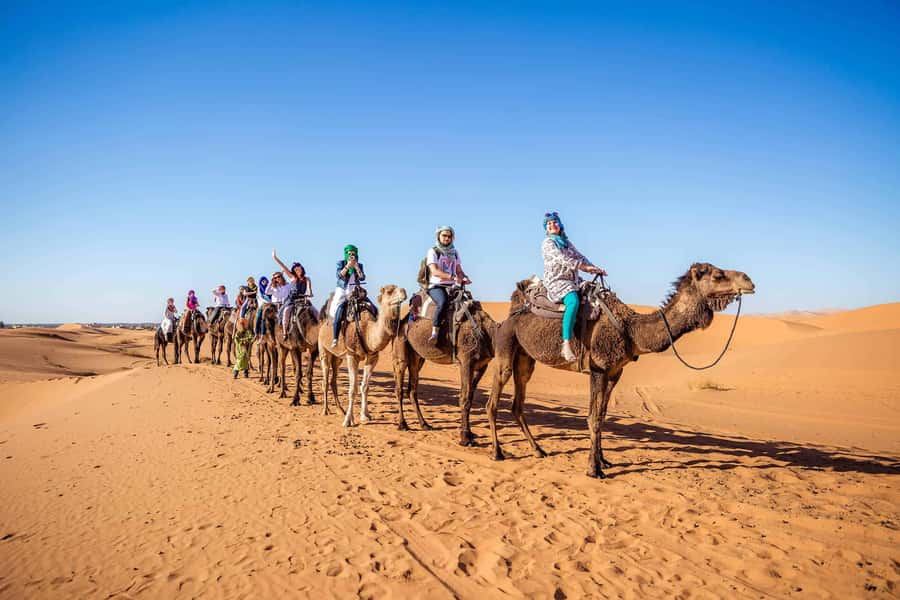 From Fez: Sahara Desert 2-Day Tour with Merzouga Camp Stay - Ifran brings an alpine surprise