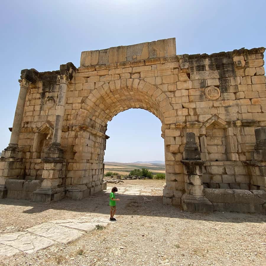From Fez: Volubilis Moulay Idriss and Meknes Day Trip - Timing, comfort, and what to bring