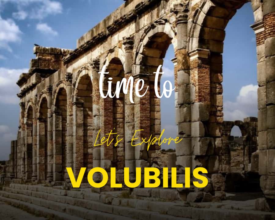 From Fez: Volubilis Moulay Idriss & Meknes Full-Day Trip - Volubilis and the Roman world