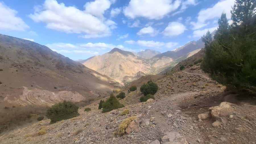 From Marrakech: 2-Day Berber experience Atlas Mountains - Day two: mule riding and a three-hour forest hike