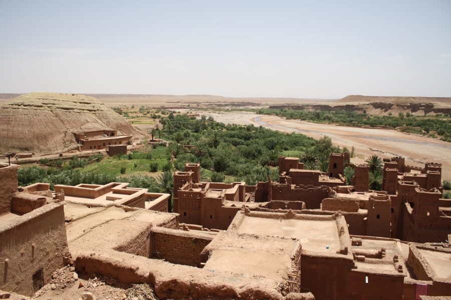 From Marrakech: 2-Day Sahara Tour to Zagora & Ait Ben Haddou - Reaching Zagora and meeting the camels