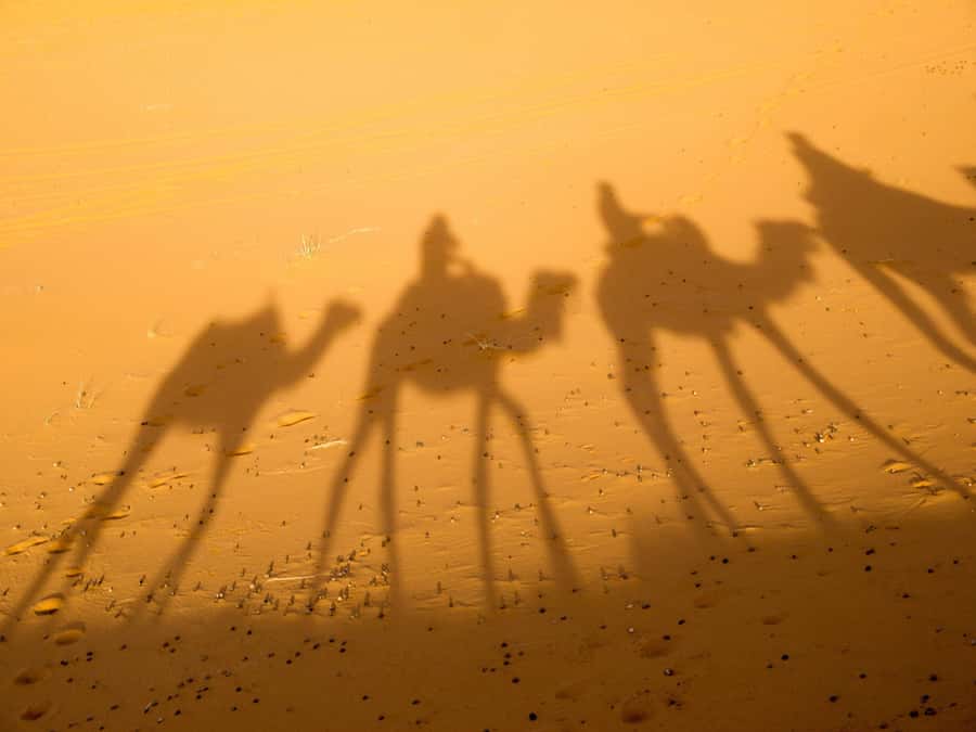 From Marrakech: 2-Day Zagora Desert Camp Trip - Sunrise, breakfast, and the ride back