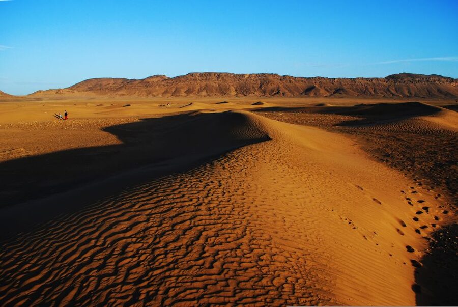 From Marrakech: 2-Day Zagora Desert Camp Trip - The minibus, group size, and driver quality