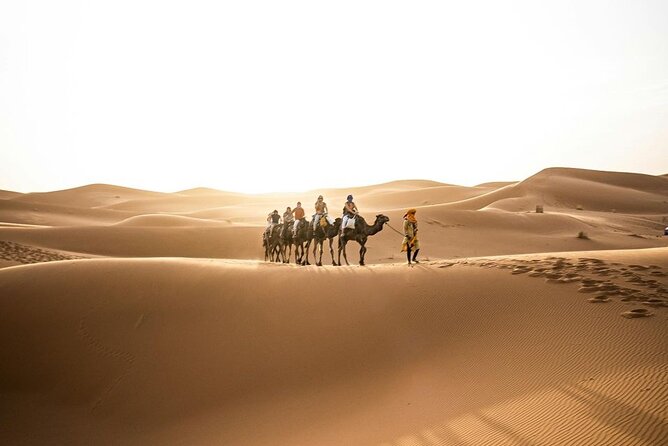 From Marrakech: 3-Day Desert Tour to Agadir - Sunrise, the Draa Valley, and the long run to Agadir