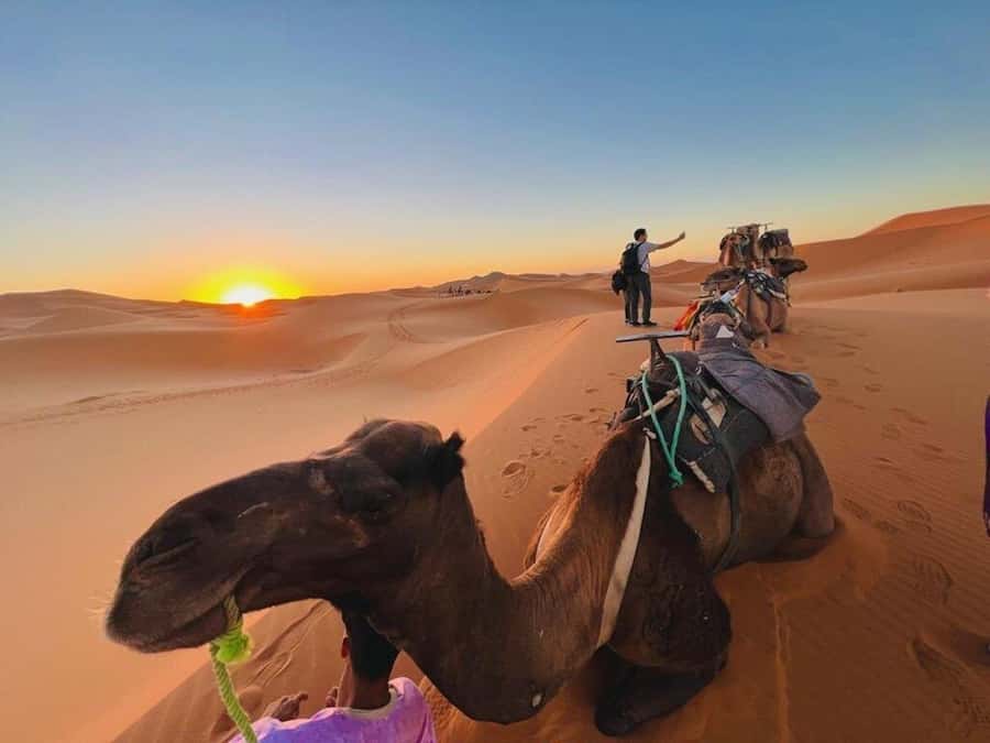 From Marrakech: 3-Day Luxury Desert Tour to Fes via Merzouga - Is $215 good value for three days?