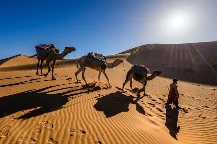 From Marrakech: 3-Day Luxury Desert Tour to Fes via Merzouga - Day 2: Dades Valley, Todra Gorge, and the road to Merzouga