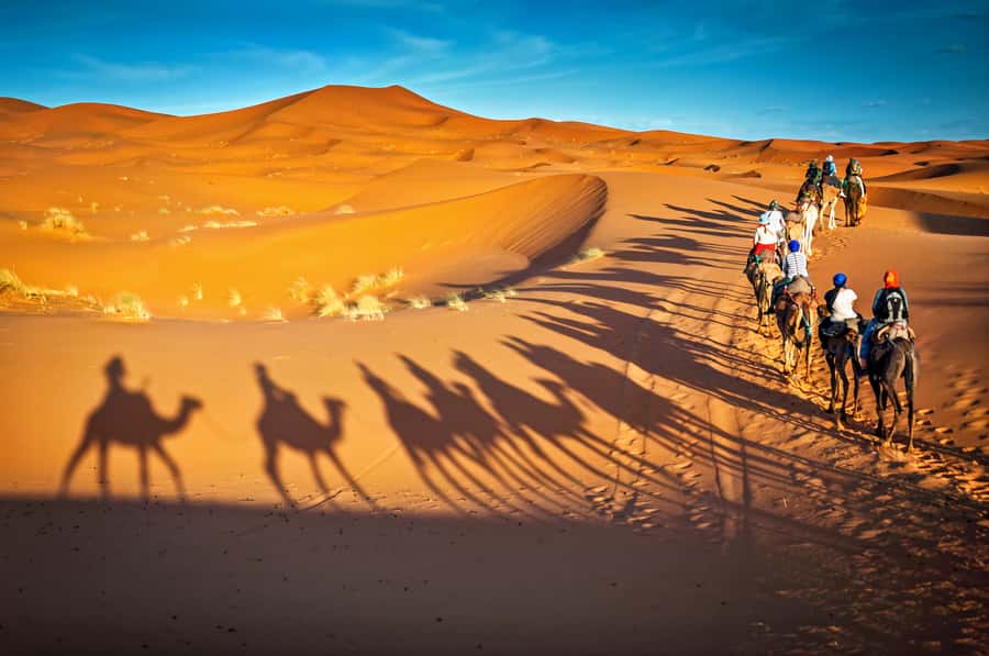 From Marrakech: 3-Day Merzouga and Sahara Desert Tour - Guides, drivers, and group atmosphere