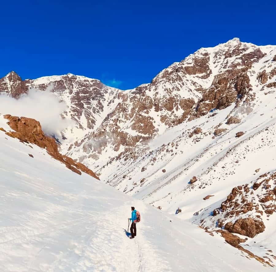 From Marrakech: 3-Day Mount Toubkal Climbing Trek - What the guides add to the climb