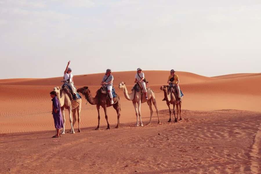 From Marrakech: 3-Day Stay in the Merzouga Desert - Key points to know before booking