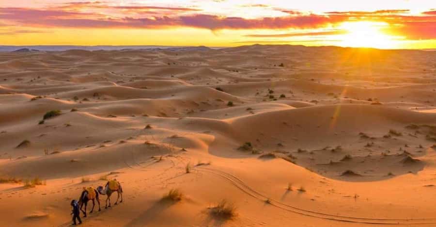 From Marrakech: 3 Days Desert Tour To Merzouga Luxury Camp - What $223 really buys you