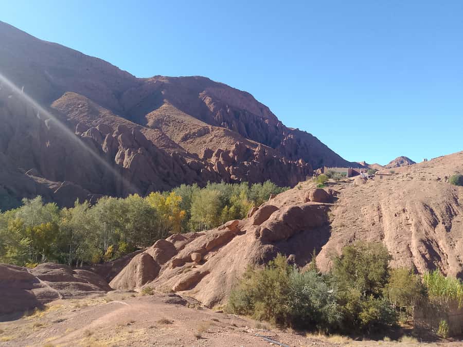From Marrakech: 4-Day Morocco Sahara Desert Experience - Day 4: Returning to Marrakech over the pass