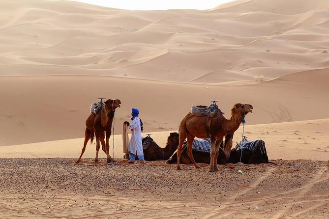 From Marrakech 4 Days Tour To Morocco Sahara Desert - What this four-day Morocco route really involves