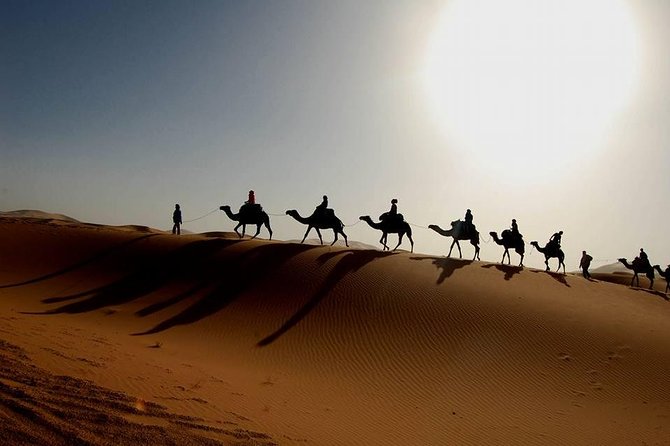 From Marrakech 4 Days Tour To Morocco Sahara Desert - Driver service and the human side of the trip