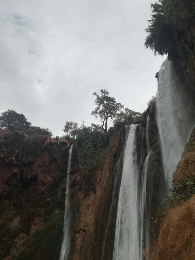 From Marrakech: A day Trip to Ouzoud waterfalls - How the four hours at Ouzoud are used