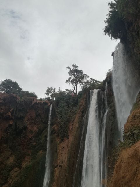 From Marrakech: A day Trip to Ouzoud waterfalls - Who should book this day trip