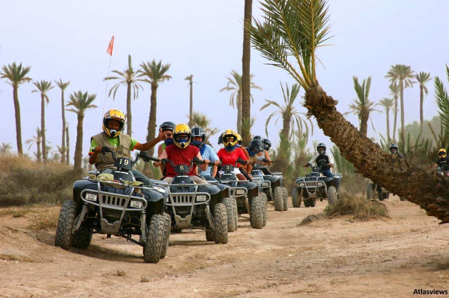 From Marrakech: Adventure Quad Ride in La Palmeraie - Two hours through palm groves and desert tracks