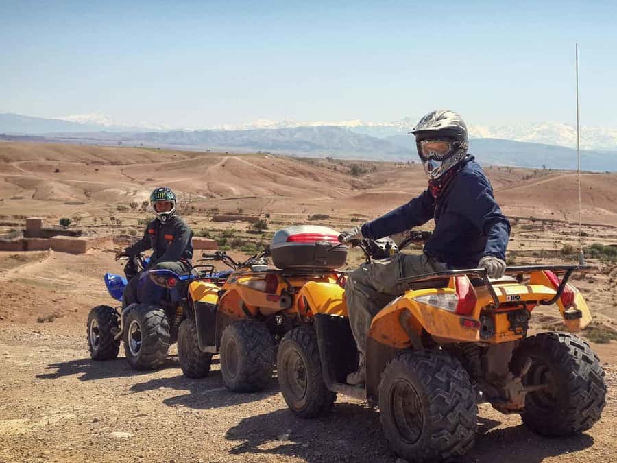 From Marrakech: Adventure Quad Ride in La Palmeraie - Who should book this Palmeraie adventure?