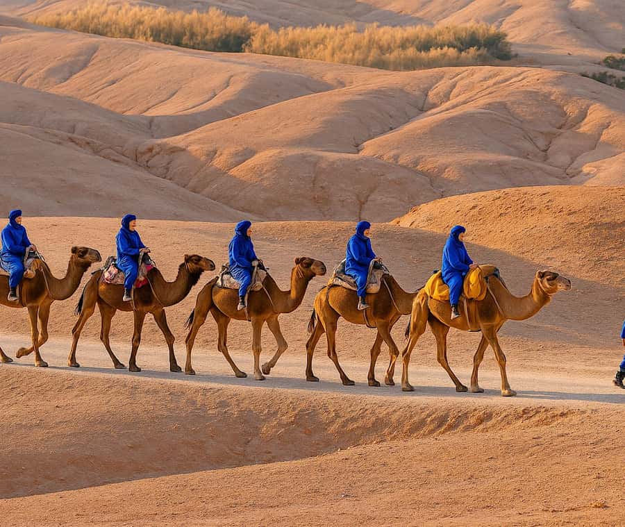 From Marrakech: Agafay Desert Dinner and Optional Camel Ride - Pickup in Marrakech and the ride south