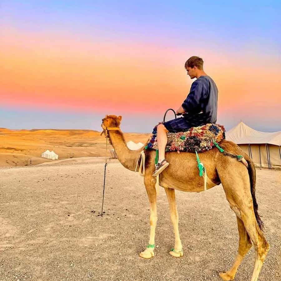 From Marrakech: Agafay Desert Dinner with Quad & Camel Ride - Key points to know before booking