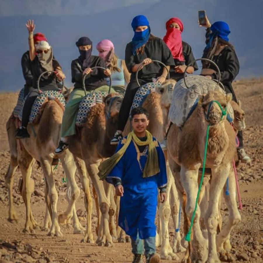 From Marrakech: Agafay Desert Dinner with Quad & Camel Ride - Who will enjoy this evening most?