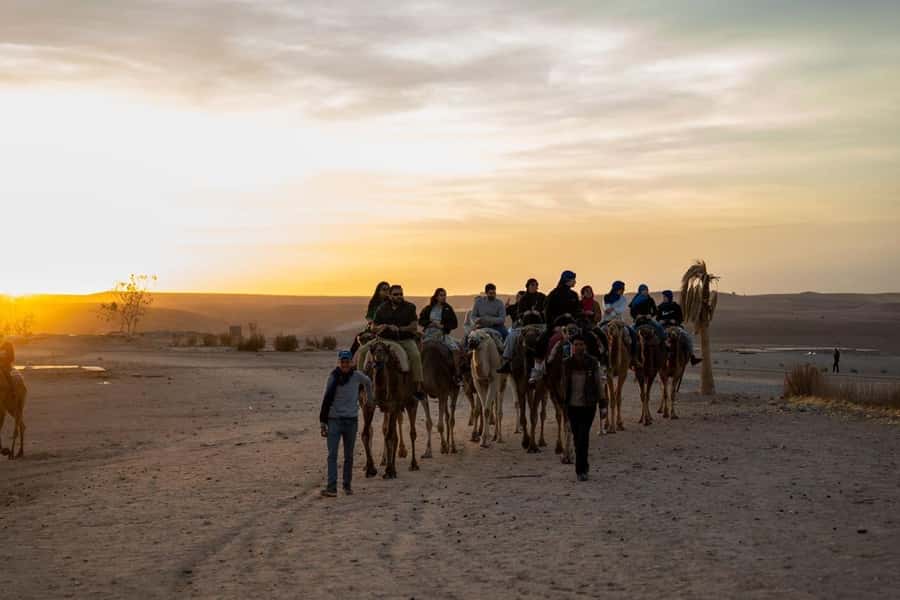 From Marrakech: Agafay Desert Quad Biking with Dinner & Show - Quick take: what makes this outing worthwhile