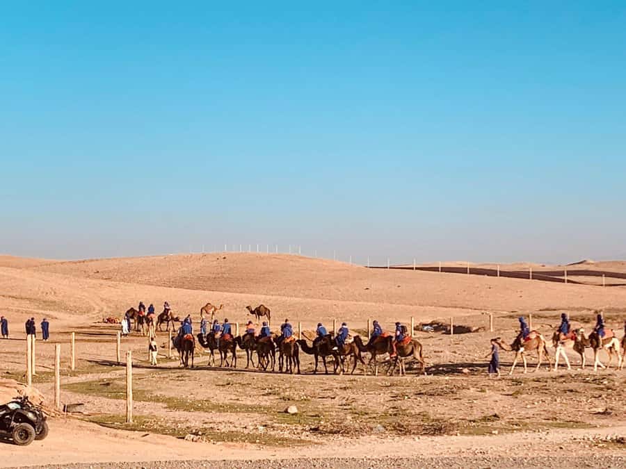 From Marrakech: Agafay Desert Sunset, Camel Ride, and Dinner - Mint tea and the first look at Agafay