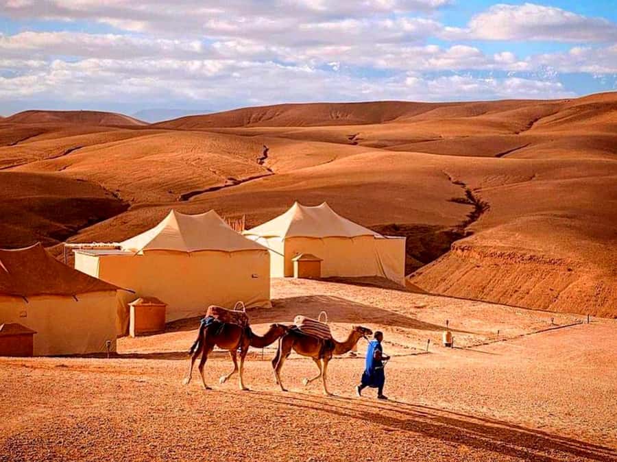 From Marrakech : Agafay Desert Sunset Dinner with Camel Ride - Mint Tea and the Sunset Over the Hills