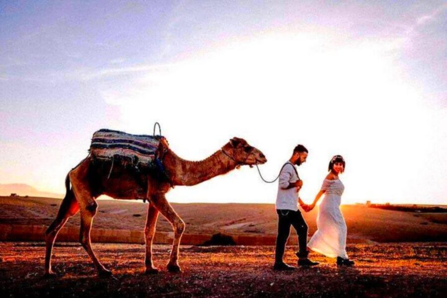 From Marrakech: Agafay Desert Sunset Dinner with Live Show - Who will enjoy this and who may want something else