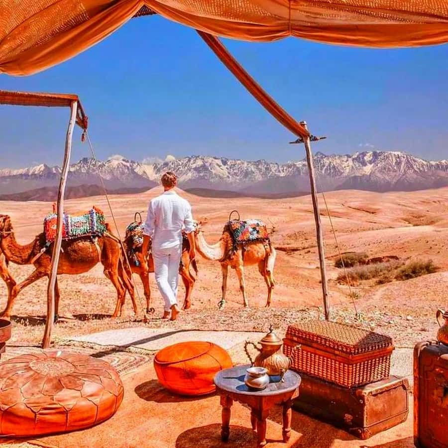From Marrakech: Agafay Desert Sunset Dinner with Live Show - A short stop at the argan oil cooperative