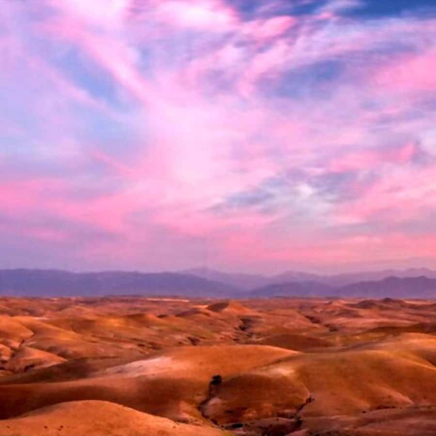 From Marrakech: Agafay Desert Sunset Dinner with Live Show - A Moroccan dinner under the evening sky
