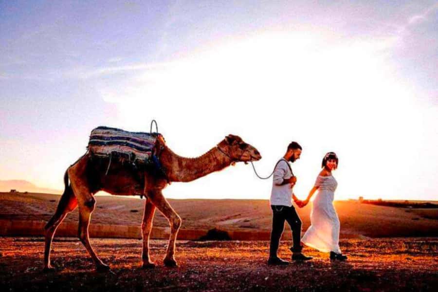 From Marrakech: Agafay Desert Sunset Dinner with Live Show - Music, dancing, and the fire show