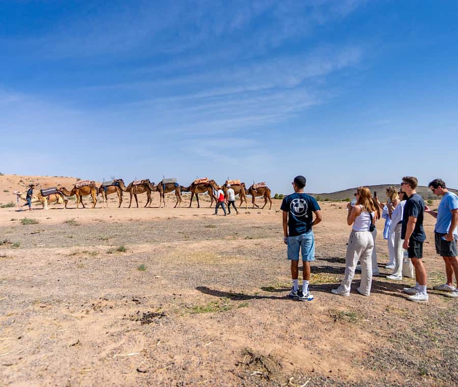 From Marrakech: Agafay Sunset Camel Tour with Dinner & Show - Who May Want a Different Desert Experience