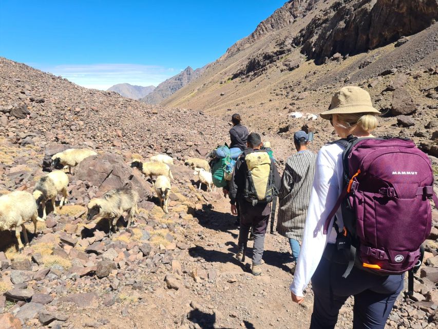 From Marrakech: Atlas Mountains 4-Day Hike with Hotels - The guesthouses and local etiquette