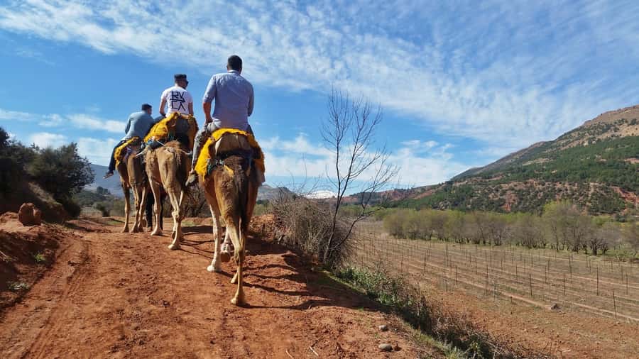 From Marrakech: Atlas Mountains 45-Minute Horseback Ride - The 45-minute horse ride through mountain country