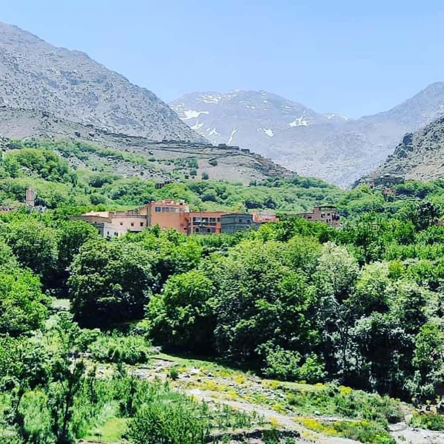 From Marrakech: Atlas Mountains and Berber Village Day Trip - The one to two-hour walk through the valley