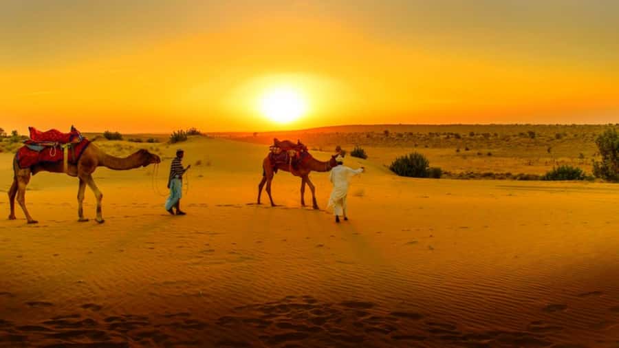 From Marrakech: Atlas Mountains and Three Valleys Day Trip - Azrou And The Argan Oil Cooperative