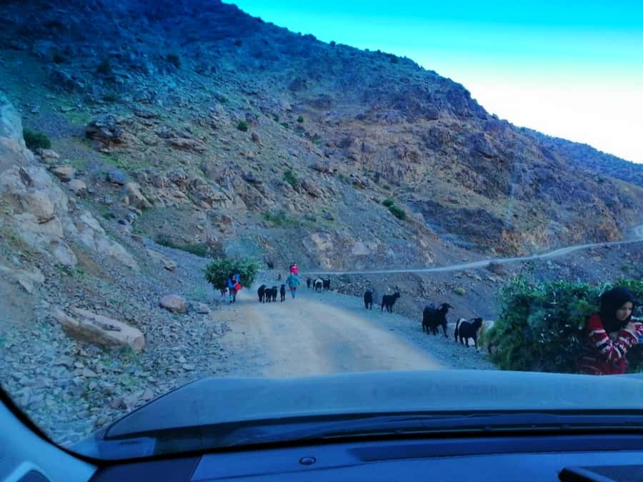 From Marrakech: Atlas Mountains and Three Valleys Day Trip - The Camel Ride Before The Agafay Sunset