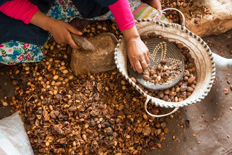 From Marrakech: Atlas Mountains Day Trip with Camel Ride - Key points to know before booking