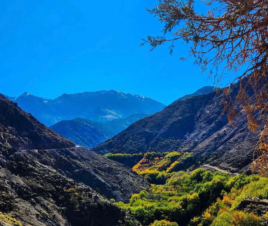 From Marrakech: Atlas Mountains Day Trip with Camel Ride - The camel ride at Moulay Brahim