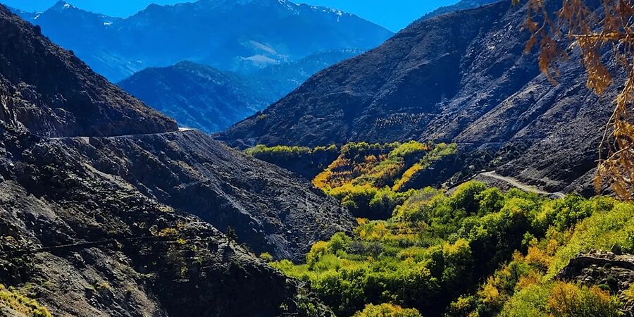 From Marrakech: Atlas Mountains Day Trip with Camel Ride - What the $17 price really gives you