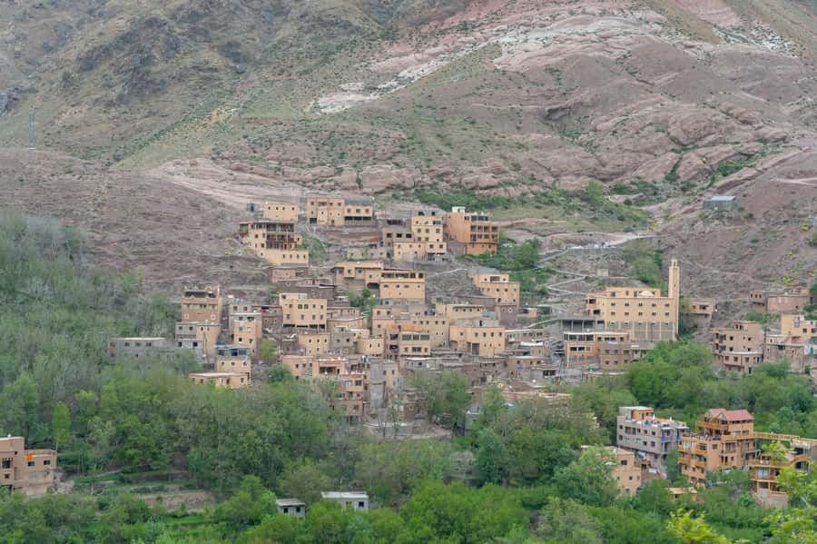 From Marrakech: Atlas Mountains Summit Trek - The Argan cooperative on the way home